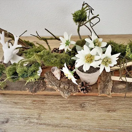 Apartment Edelweiss