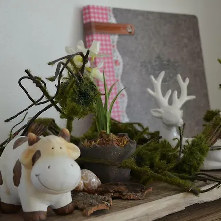Apartment Edelweiss *